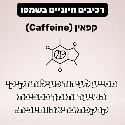 שמפו נגד נשירה וחיזוק שורש השערה